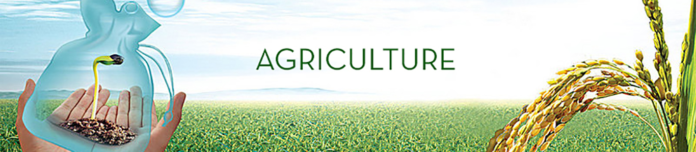 About us Banner